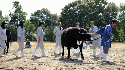 HP-_5DSC8873_12769