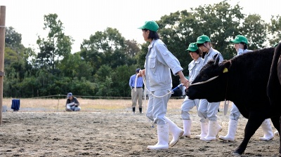 HP-_5DSC8927_12773
