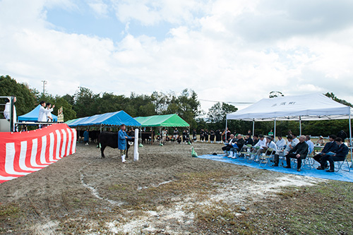 HPDSC_1162